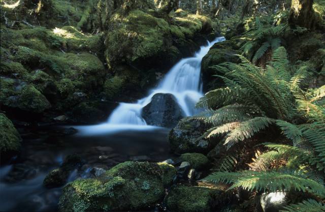 nieuw zeeland waterval